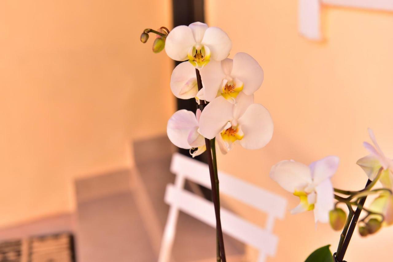 Casa Soare - Ultracentral Guesthouse 锡比乌 外观 照片
